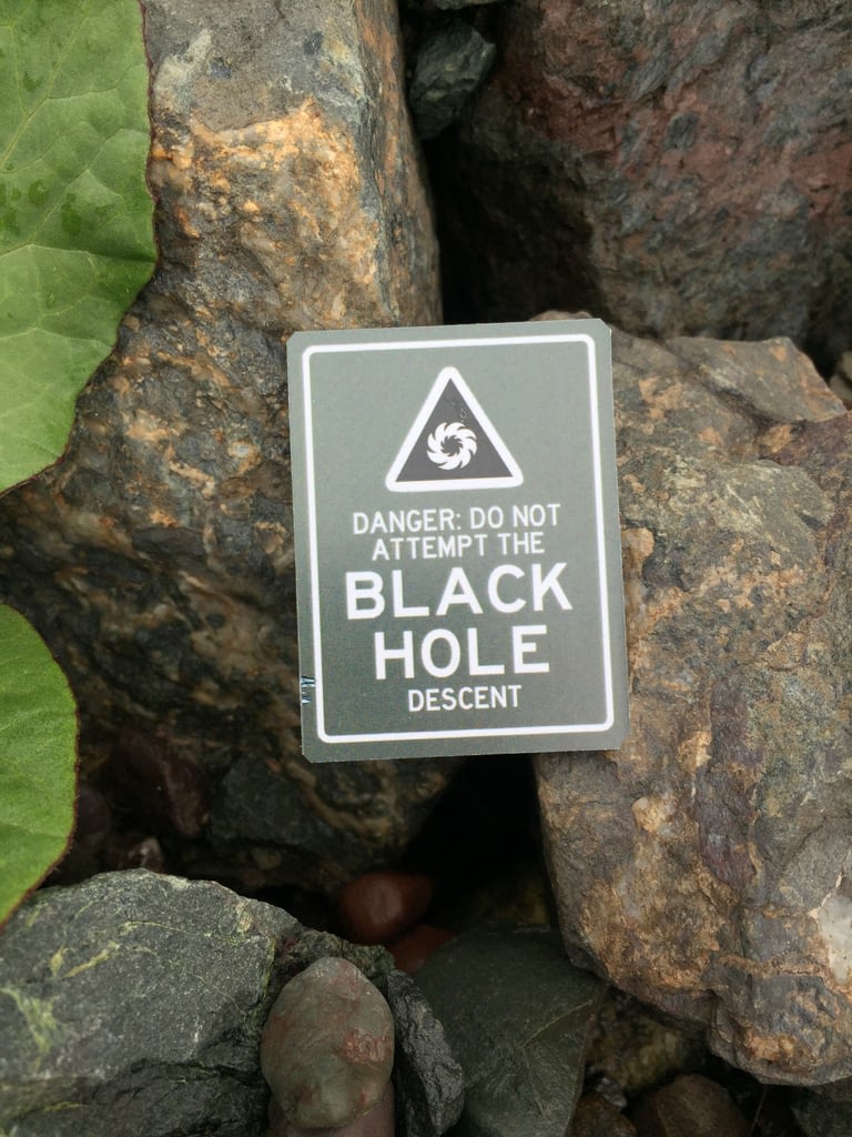 Black Hole Descent