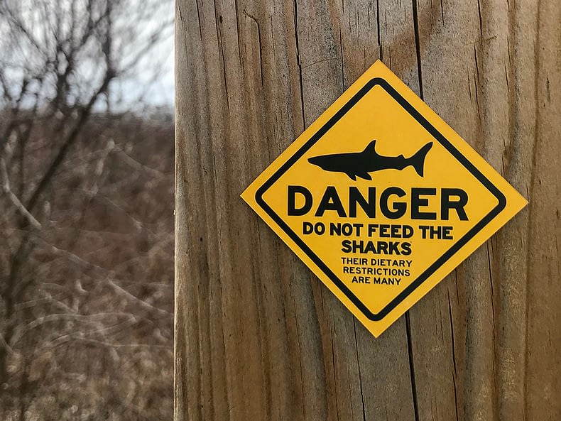 Danger – Do Not Feed the Sharks. Their Dietary Restrictions are Many.