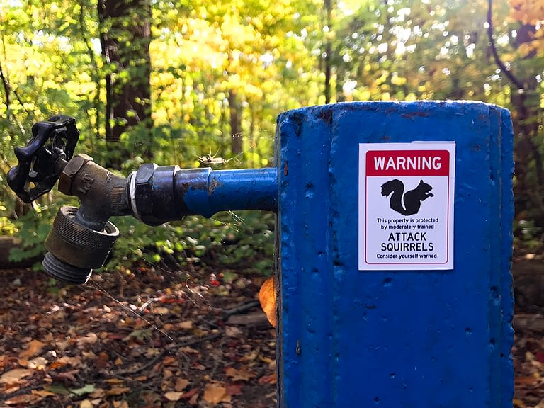 Warning – This property is protected by moderately trained Attack Squirrels. Consider yourself warned.