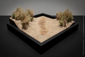 Dune Grasses